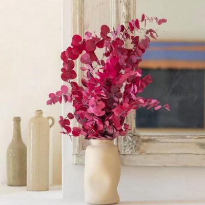 Bouquet d'eucalyptus stuartiana FRAMBOISE