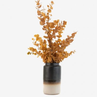 Bouquet d'eucalyptus stuartiana JAUNE