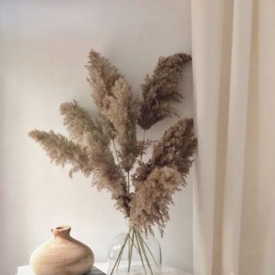 Bouquet de 5 pampa séchée NATUREL 80cm