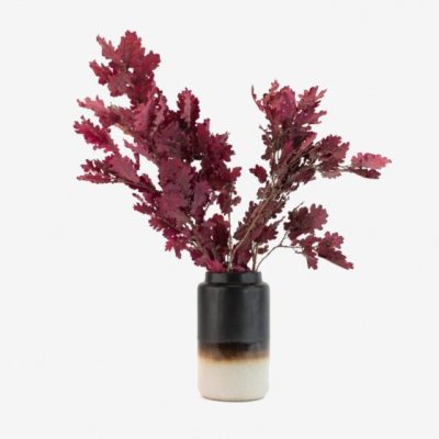 Bouquet de chêne stabilisé FRAMBOISE