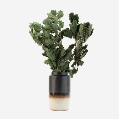 Bouquet de chêne stabilisé VERT