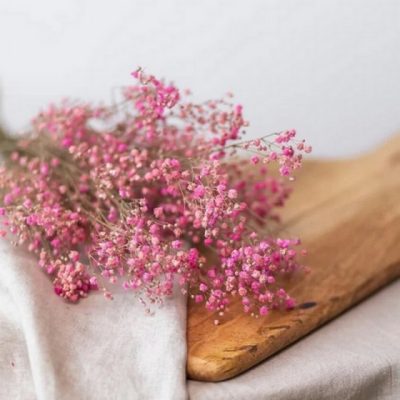 Bouquet de gypsophile stabilisé GRENADINE
