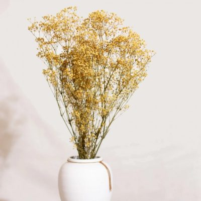 Bouquet de gypsophile stabilisé JAUNE