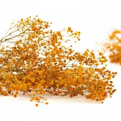 Bouquet de gypsophile stabilisé ORANGE