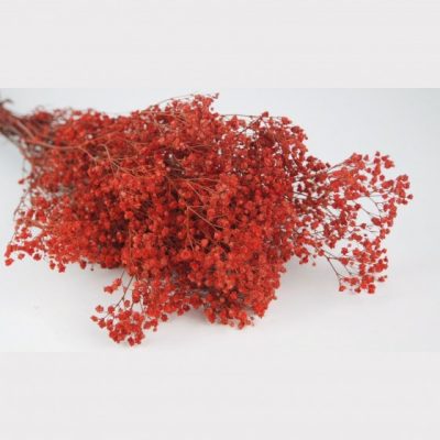 Bouquet de gypsophile stabilisé ROUGE