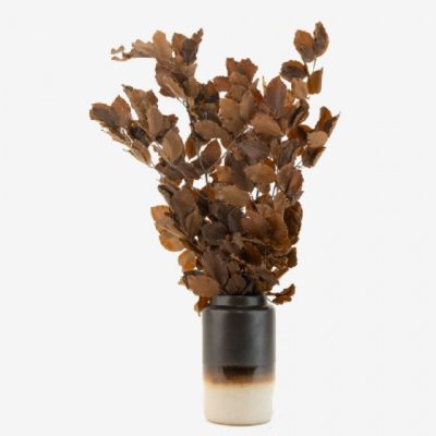 Bouquet de hêtre stabilisé MOKA