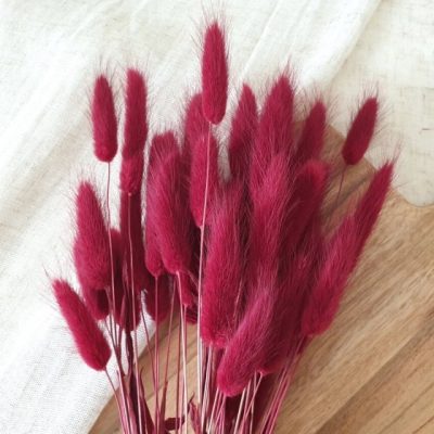 Bouquet de Lagurus séché FRAMBOISE
