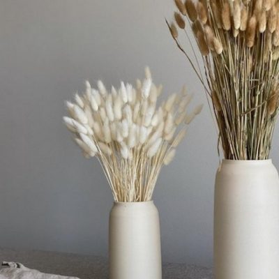 Bouquet de Lagurus séché MERINGUE