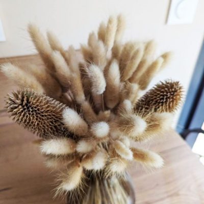Bouquet de Lagurus séché NATUREL