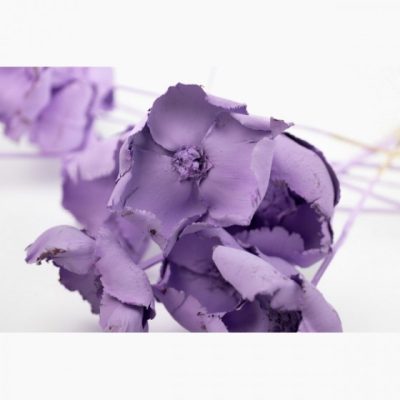 Bouquet de PALM CUP PARME