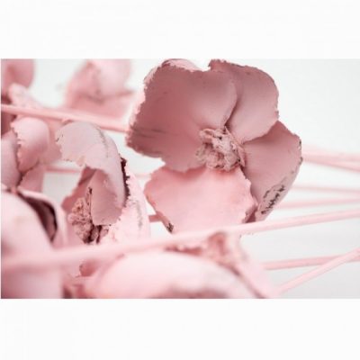 Bouquet de PALM CUP ROSE