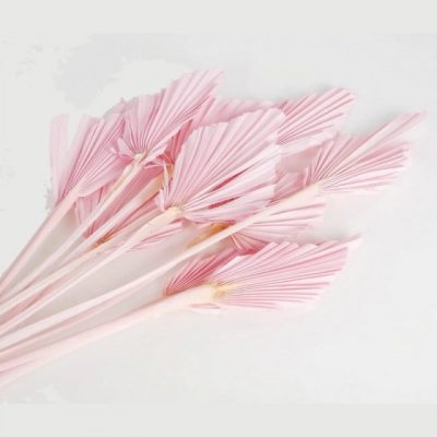 Bouquet de PALM MINI BABY PINK