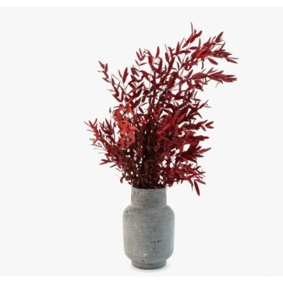 Bouquet de parvifolia stabilisé rouge