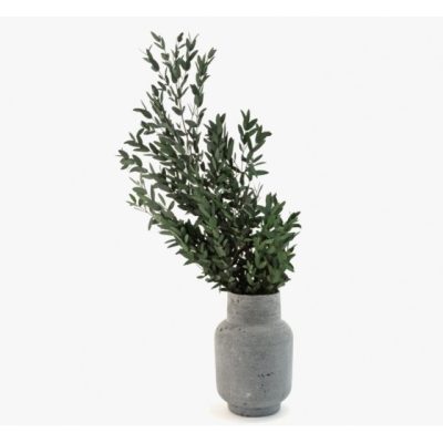 Bouquet de parvifolia stabilisé vert