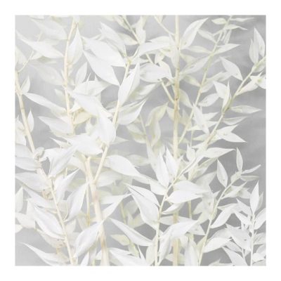 Bouquet de ruscus stabilisé BLANC