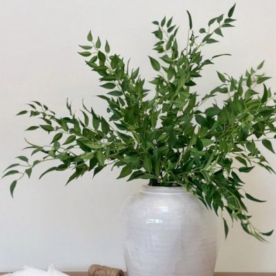 Bouquet de ruscus stabilisé VERT