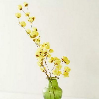 Branche de bougainvillier séché JAUNE
