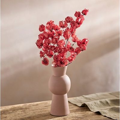 Branche de bougainvillier séché ROUGE