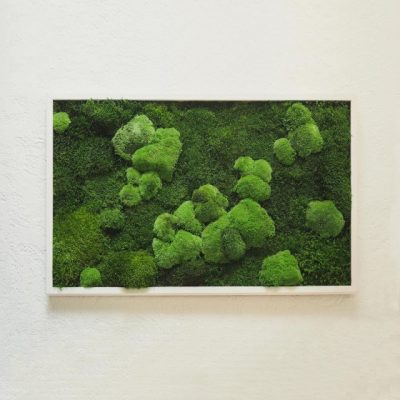 Tableau végétal stabilisé FÉROÉ