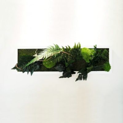 Tableau végétal stabilisé GREEN LOVE