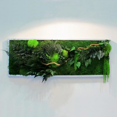Tableau végétal stabilisé GREEN WAVE