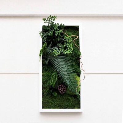Tableau végétal stabilisé MAGIC