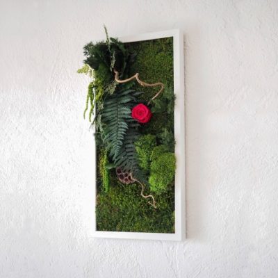Tableau végétal stabilisé MAGIC ROSE