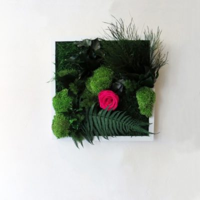 Tableau végétal stabilisé MIRANDA