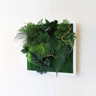 Tableau végétal stabilisé NATURE